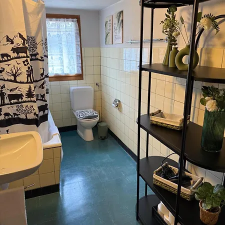 Lavida Wave Lakeside, Interlaken, Ski, Free Parking شقة ليسيغن