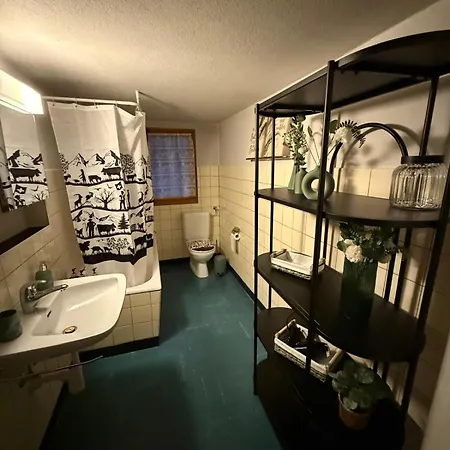 Lavida Wave Lakeside, Interlaken, Ski, Free Parking ليسيغن