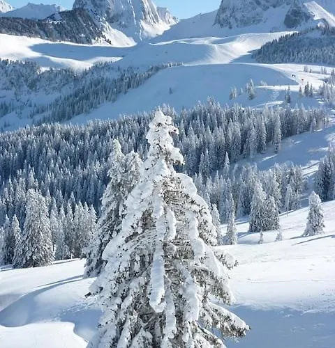 Appartamento Lavida Wave Lakeside, Interlaken, Ski, Free Parking Leissigen