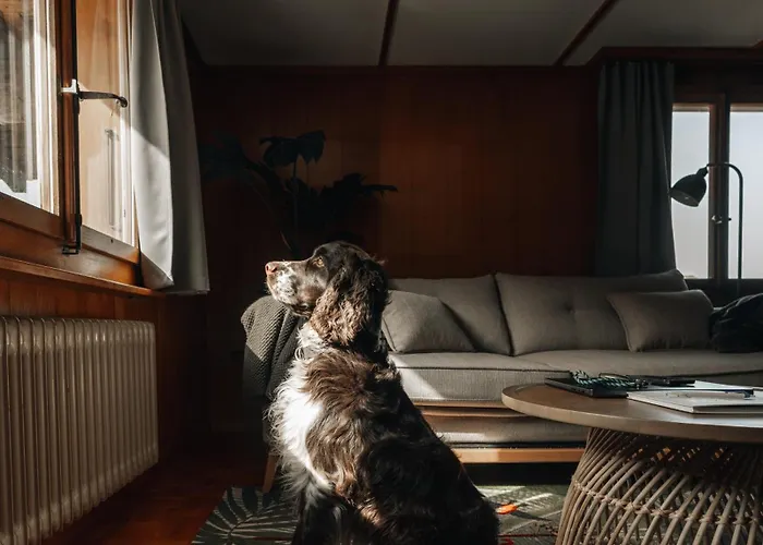 Lavida Wave Lakeside, Interlaken, Ski, Free Parking Appartement