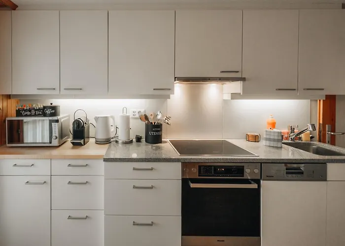 Lavida Wave Lakeside, Interlaken, Ski, Free Parking Apartment Leissigen