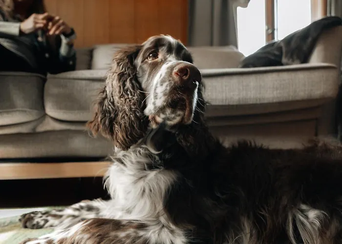 Apartment Lavida Wave Lakeside, Interlaken, Ski, Free Parking