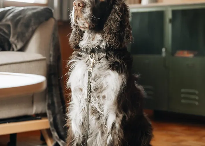 Lavida Wave Lakeside, Interlaken, Ski, Free Parking Leissigen