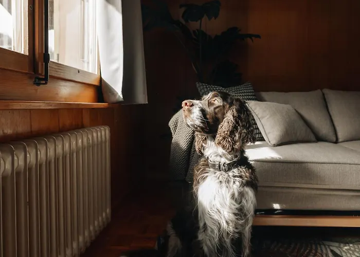 Lavida Wave Lakeside, Interlaken, Ski, Free Parking Appartement Leissigen