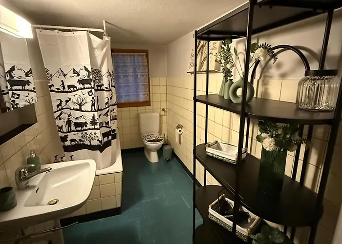 Lavida Wave Lakeside, Interlaken, Ski, Free Parking Leissigen