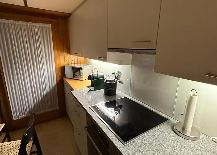 Lejlighed Lavida Wave Lakeside, Interlaken, Ski, Free Parking